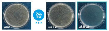 菌の繁殖を比較