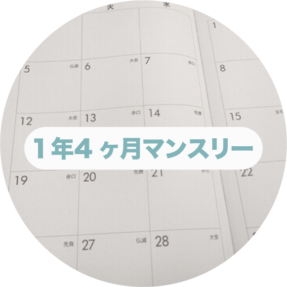 １年4ヶ月マンスリー